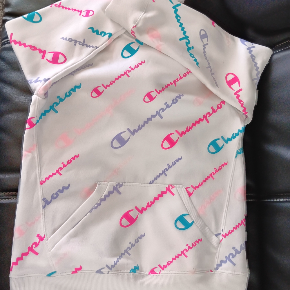 Champion Multicolor Logo Hoodie